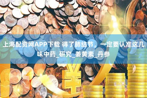 上海配资网APP下载 得了肺结节，一定要认准这几味中药_研究_姜黄素_丹参