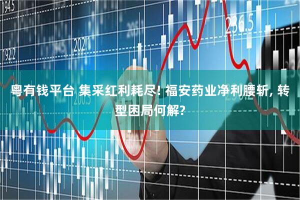 粤有钱平台 集采红利耗尽! 福安药业净利腰斩, 转型困局何解?