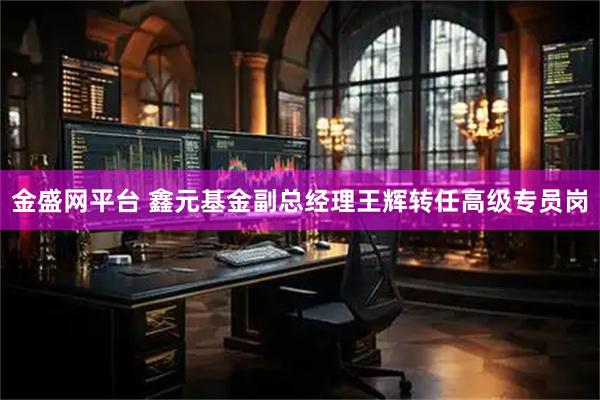 金盛网平台 鑫元基金副总经理王辉转任高级专员岗